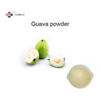 China Light Yellow Anticancer Fine Powder Guava Fruit Extract factory