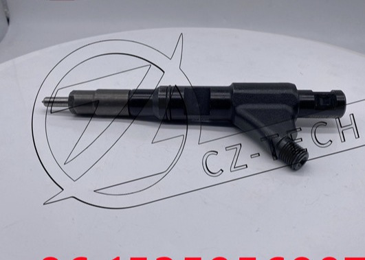 Quality ISO Common Rail Delphi Fuel Injector 228437693 28400214 Fit Excavator for sale