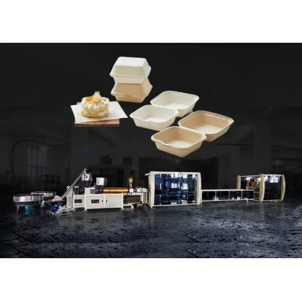 Quality Disposable Biodegradable Burger Box Machine Making Full Automatic for sale
