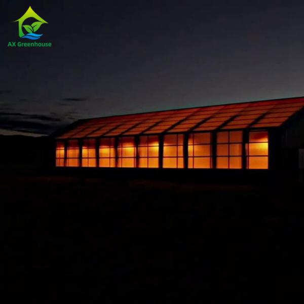 Quality PE Film 220V Auto Light Dep Greenhouse 100% Blackout High Tunnel Greenhouse for sale