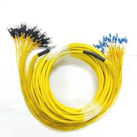 China fiber patch cord price FC-LC-SM-G652D-24Core branch Breakout patch cord 24 cores fiber optic patch cord shenzhen factory