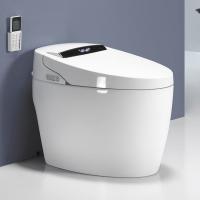 China Floor Mounted Ceramic One Piece Intelligent Toilet Bowl Bathroom White Bidet factory