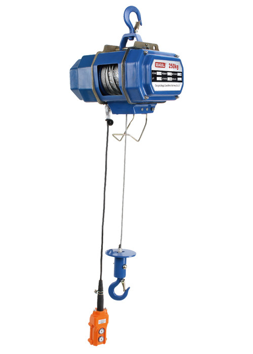 China Lifting Machine Single Phase Electric Chain Hoist 500kg With Push Button factory