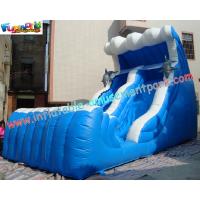 China Large Inflatable Slides double lane made of 0.55mm PVC tarpaulin for rental, commercial for sale