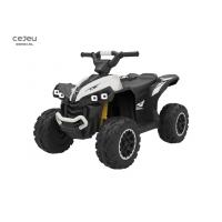 China Kids ATV Electric 4 Wheeler Quad For 25KGS Load factory