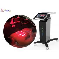 China Low Level Physiotherapy Cold Laser Therapy Device 500mw 110CM Head factory