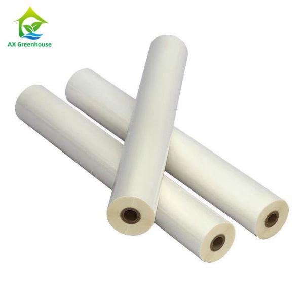 Quality 0.1-0.2mm PE PO Greenhouse Plastic Cover High Transmittance Greenhouse Poly Film for sale