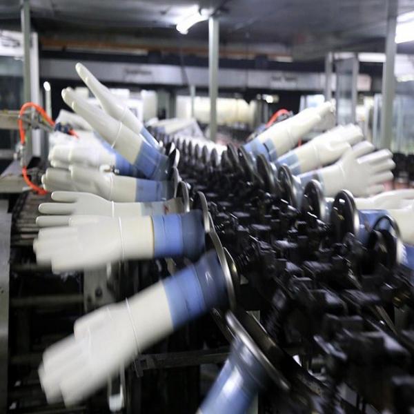 Quality Medical Latex Rubber Medical Gloves Production Line for sale