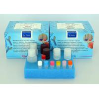 Quality High Sensitivity Aminoglycosides ELISA Test Kit Free Samples For Feed / Meat for sale