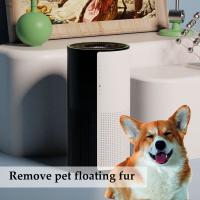 China Cleanse Purify Hepa UV Pet Home Air Purifier With Child Lock Protect Pet'S Air factory