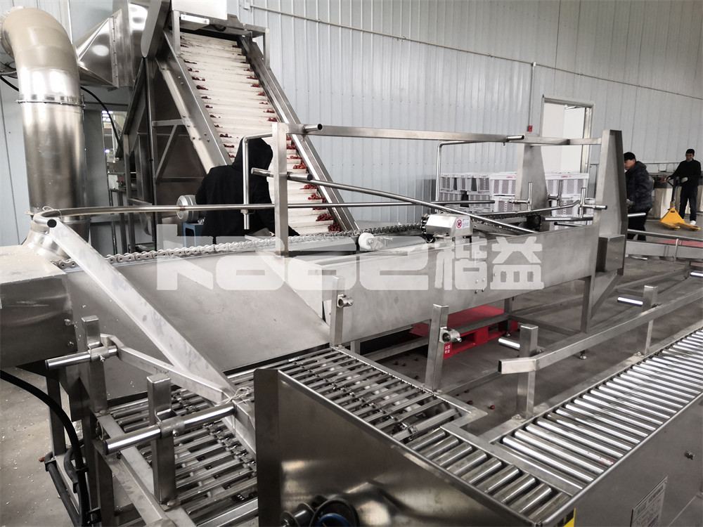 China Drying Machine Conveyor Dryer Drying Tunnel Belt Dryer Machine Post Press Equipment factory