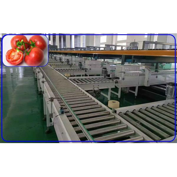 Quality Precise Tomato Size Sorting Machine 3 Channel Intelligent Electric Drive for sale
