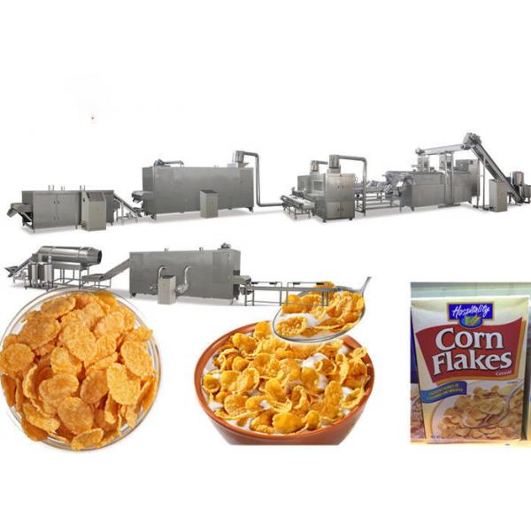 Quality ISO9001 Puffed Snack Food Corn Flakes Production Line for sale