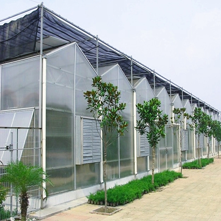 China Hot Dipped Galvanized Steel 7.5m PC Sheet Greenhouse factory