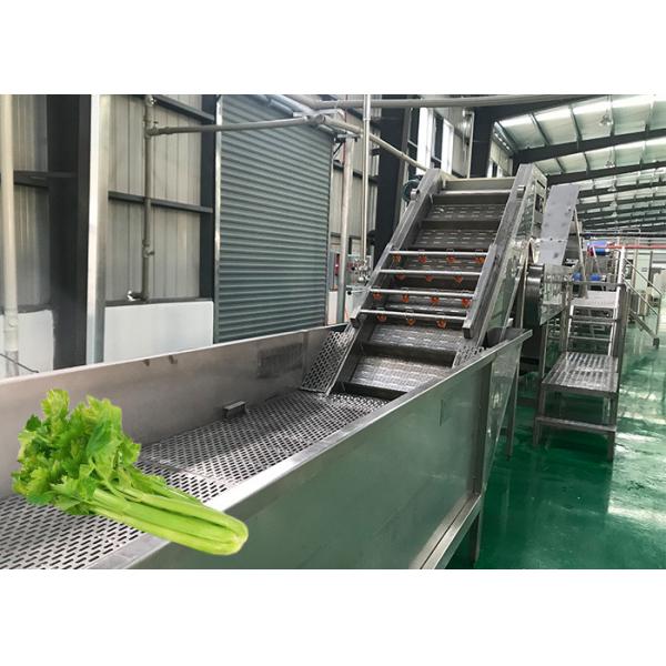 Quality Stable Celery Food Processing Equipment Carrot Processing Line Food Grade for sale