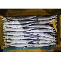 China 60g 70g Bulk #1 High Protein Frozen Pacific Saury factory