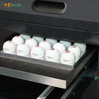 China High Speed Digital Ink Jet Printing Machine For Gulf Ball Printing factory