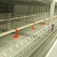 China Rigid Q235 Steel Baby Chick Cage Multi Doors High Performance For Farm factory
