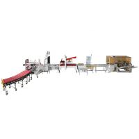 Quality Fully Automatic FXJ-AT5050 Corrugated Box Packing Machine Carton 120KG for sale
