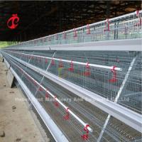 Quality 120 Chicken A Type Layer Battery Cage Of Poultry Equipment Mia for sale