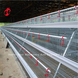 Quality Imported Best Quality Layer Chicken Cage For Mature Chicken In Africa Market Mia for sale