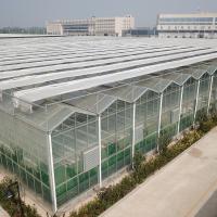 China Complete Multi-Span Agricultural Greenhouses Stable Structure for Quick Construction factory