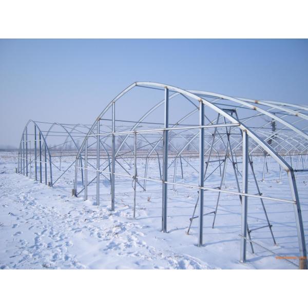 Quality Arch Pipes Reinforced Commercial Polyethylene Film Greenhouse for sale