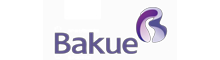 China Bakue Commerce Co.,Ltd. logo