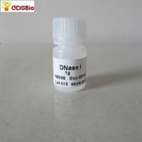 China DNase I Powder N9066 1g In Vitro Diagnostic Products factory