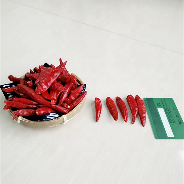 New Crop Chaotian Chilli Dried Red Chilli  Exporter