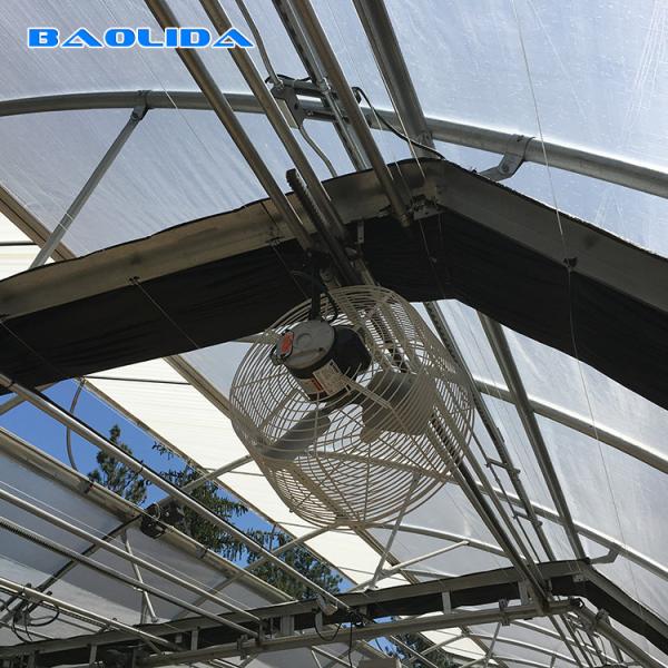 Quality Greenhouse Blackout Curtain Systems Automated Light Deprivation 8m - 12m for sale