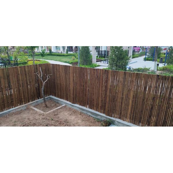 Quality Natural Bamboo Material Painted Bamboo Fence Panels Rolled Bamboo Fence Privacy for sale