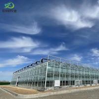 China Double Layer JX-Glass Green House for Vegetable/Flower/Fruits Automatic Irrigation System factory