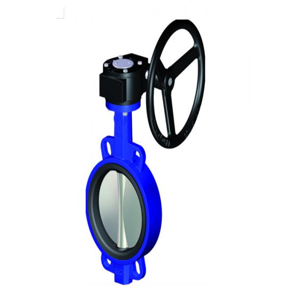 Quality DN10mm DN25mm Manual Butterfly Valve , Stainless Steel Butterfly Valve for sale