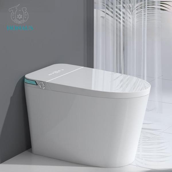 Quality Modern Europe Smart Intelligent Toilet Instant Heat 680*420*500mm for sale