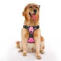China Large Dog No Pull No Choke Dog Harness Adjustable Size OEM ODM Available factory