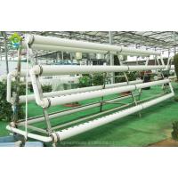 China Greenhouse Vertical Soilless Hydroponic System Hydroponic Growing Equipment factory