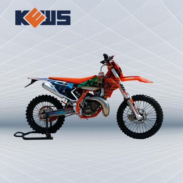 Quality ODM 2 Stroke Motocross Bikes Enduro Models MT250 Engine Chain Drive Transmission System for sale