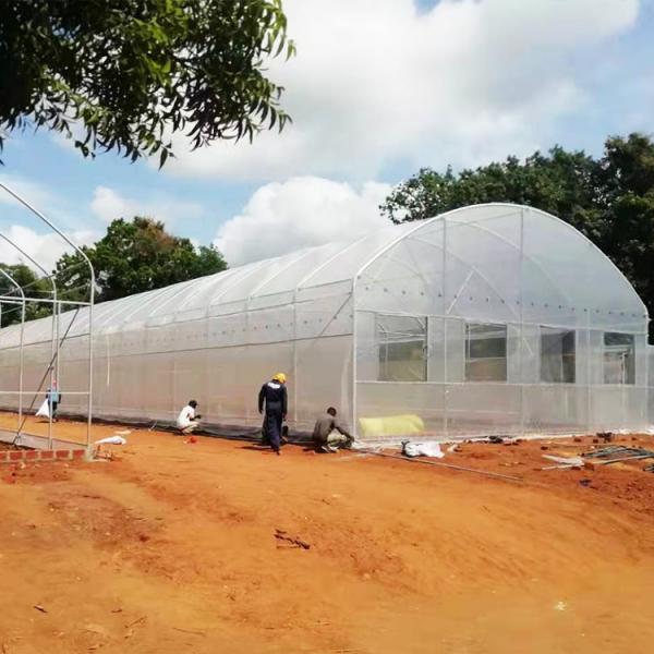 Quality Wind Resistance Plastic Film Greenhouse with 90% Light Transmittance for sale