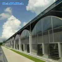 Quality Large Polycarbonate Film Greenhouse / Multi Span Greenhouse Multi Functional for sale