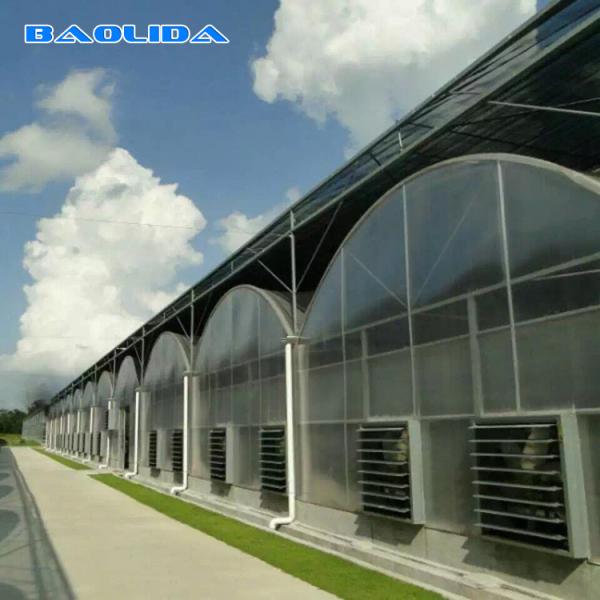 Quality Multi Span Vegetable Animal Flower Growing Agriculture Polycarbonate Sheet for sale
