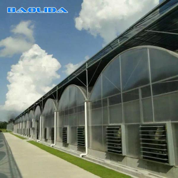 Quality Multi Span Vegetable Animal Flower Growing Agriculture Polycarbonate Sheet for sale