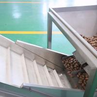 China 380V 8 Exits Pecan Nuts Sorting Machine CE Approved 2 Tons Capacity factory