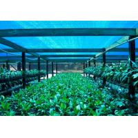 China Greenhouse Shade Net ，Agricultural Shade Cloth For Flower Farm factory