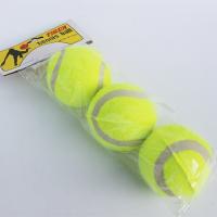 China Pet Toys Tennis Micro Elastic Secondary Ball Dog Throwing Interactive Dog Training Ball Hard Rubber Dog Ball factory
