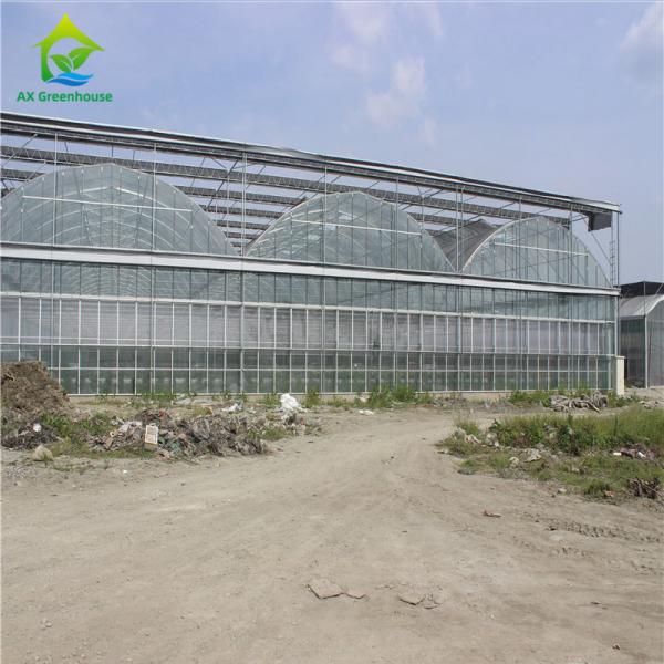 Quality Heavy Duty Glass Hydroponic Nursery Greenhouse For Vegetables for sale