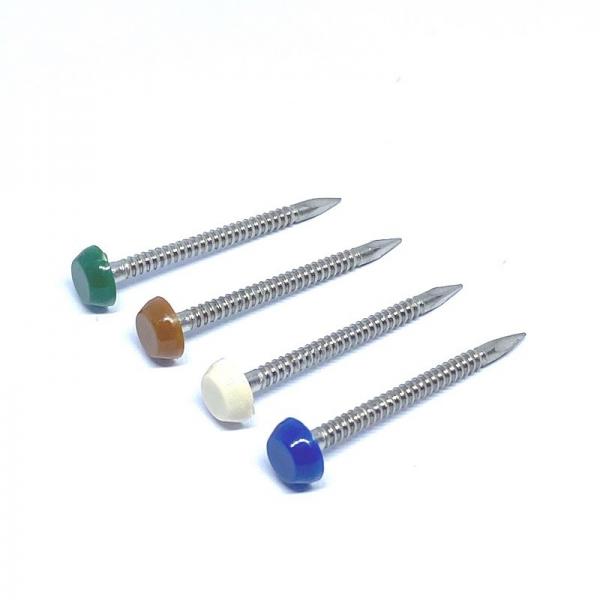 Quality 65mm Annular Stainless Ring Shank Nails With Plastic Head A4 Grade for sale