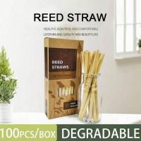 china Natural Bamboo drinking straws/ Eco friendly bamboo straw high quality/ Reed straws with best price