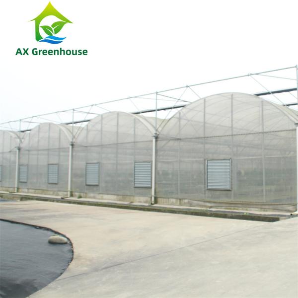 Quality Intelligent Film Serre Invernadero Greenhouse Multispan Tomato Greenhouse for sale