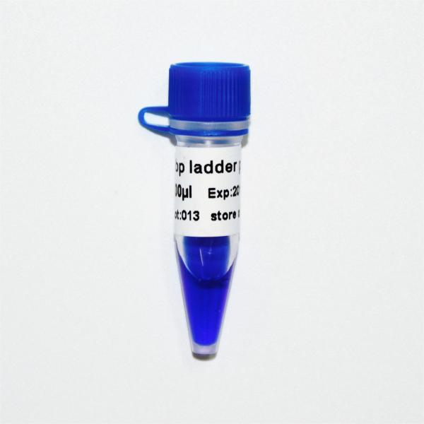 Quality 50bp Ladder Plus DNA Marker M1051 (50μg)/M1052 (50μg×5) for sale